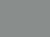 Silvery Gray Color Chip